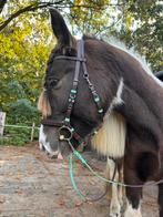 ByBaukje Halster/Hoofdstel biothane, Ophalen of Verzenden, Nieuw, Recreatie