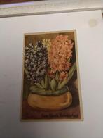 HYACINTEN. 1947, Ophalen of Verzenden, 1940 tot 1960, Sterren en Beroemdheden