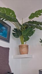 Grote Monstera Delosiosa KUNST Gatenplant aangeboden., Ophalen, In pot, Volledige schaduw, Minder dan 100 cm