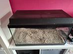 Aquarium  Juwel 60x30x30, Dieren en Toebehoren, Ophalen, Gebruikt, Leeg aquarium