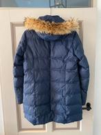 Gaastra Jas - Blauw - Maat XL, Kleding | Dames, Gaastra, Blauw, Maat 46/48 (XL) of groter, Ophalen of Verzenden