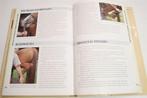 Medisch Handboek Paarden — Diagnose en Behandeling, Boeken, Ophalen of Verzenden, Gelezen, Paarden of Pony's