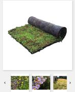 Sedum groendak alles voor die het zelf groen dak, Tuin en Terras, Vaste plant, Bodembedekkers, Ophalen of Verzenden
