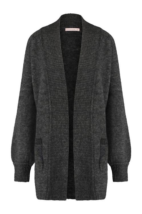 ZGAN! Mooie Studio Anneloes Newy Cardigan maat M!, Kleding | Dames, Truien en Vesten, Zo goed als nieuw, Maat 38/40 (M), Grijs