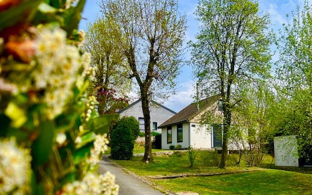 Vakantie in gerenoveerde bungalow Zuid-Limburg