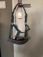 Halster maat pony, Dieren en Toebehoren, Paarden en Pony's | Hoofdstellen en Tuigage, Ophalen of Verzenden, Zo goed als nieuw