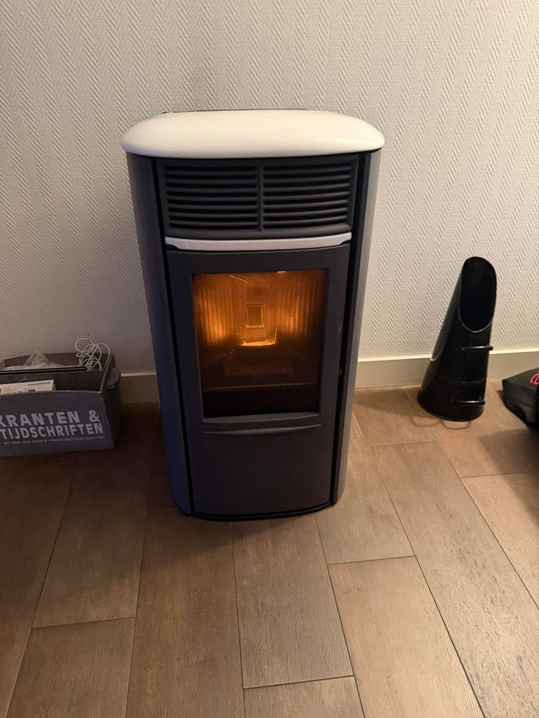 Edilkamin Aris plus pelletkachel, Ophalen, Gebruikt, Pelletkachel, Vrijstaand