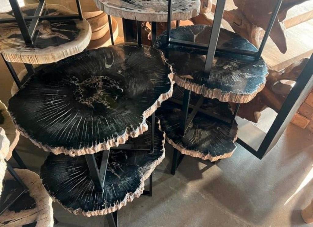 Versteend houten salontafels bijzettafels €249,- !, Huis en Inrichting, Tafels | Salontafels, Ophalen, 50 tot 100 cm, Rond, Zo goed als nieuw