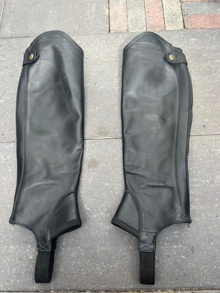 Ariat chaps, Ophalen of Verzenden, Gebruikt, Schoeisel