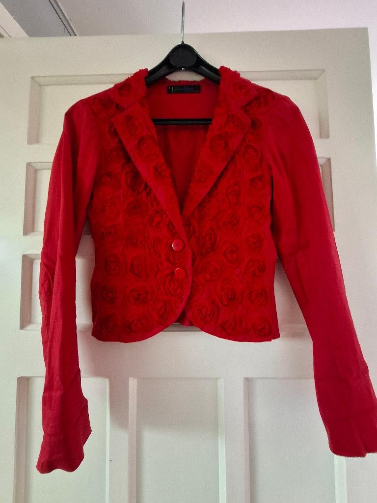 Vrolijke blazer, Ophalen of Verzenden, Jasje, Maat 36 (S), Rood