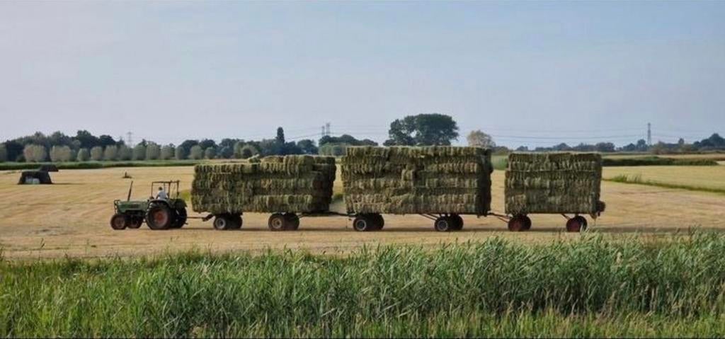 Kleine balen hooi van natuurland, Dieren en Toebehoren, Ophalen of Verzenden, Vee