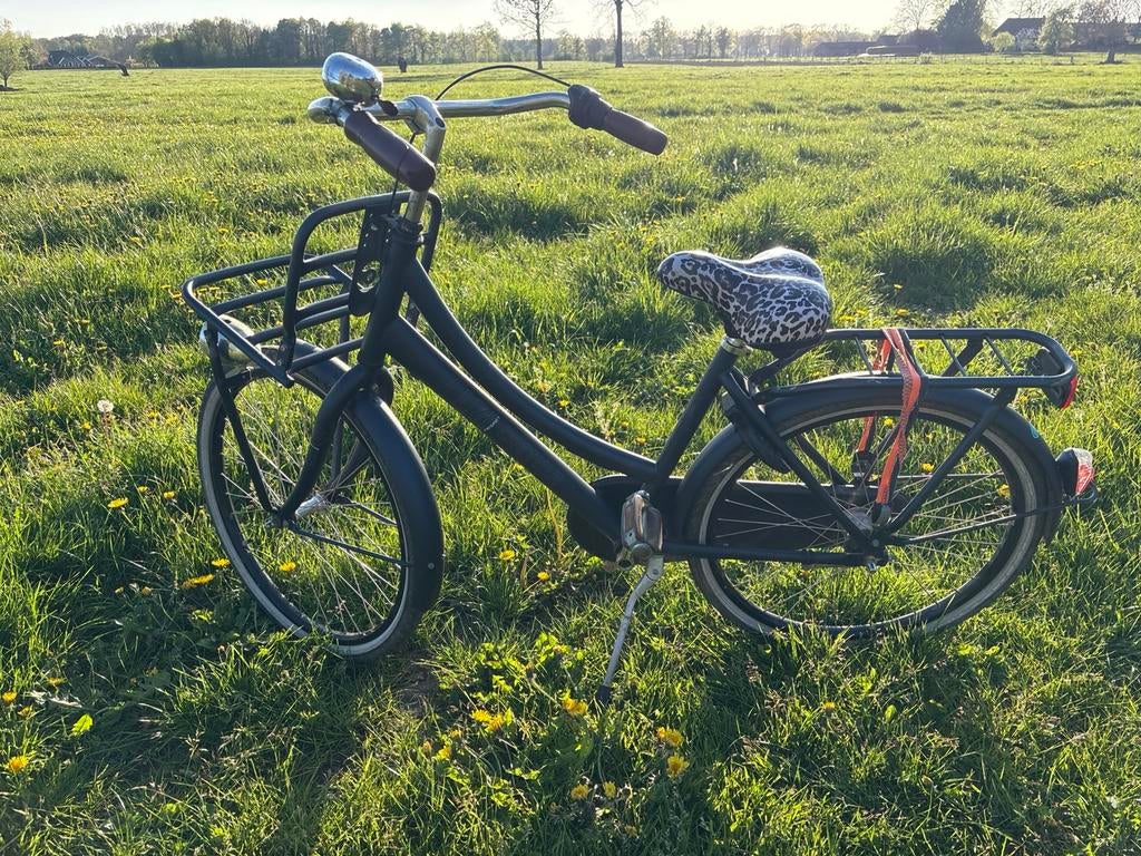 24inch cortina transportfiets, Fietsen en Brommers, Terugtraprem, Gebruikt, Versnellingen, Ophalen of Verzenden