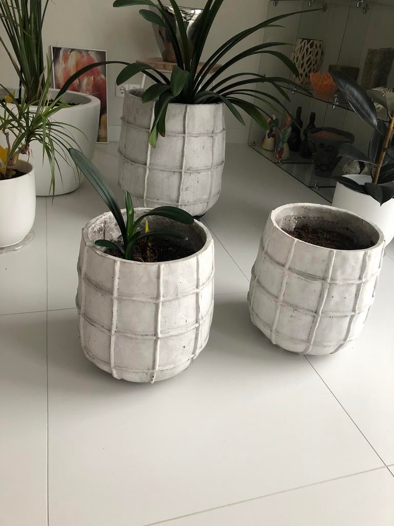 Twee mooie bloempotten Merk PTMD Score., Ophalen, Rond, Zo goed als nieuw, Beton