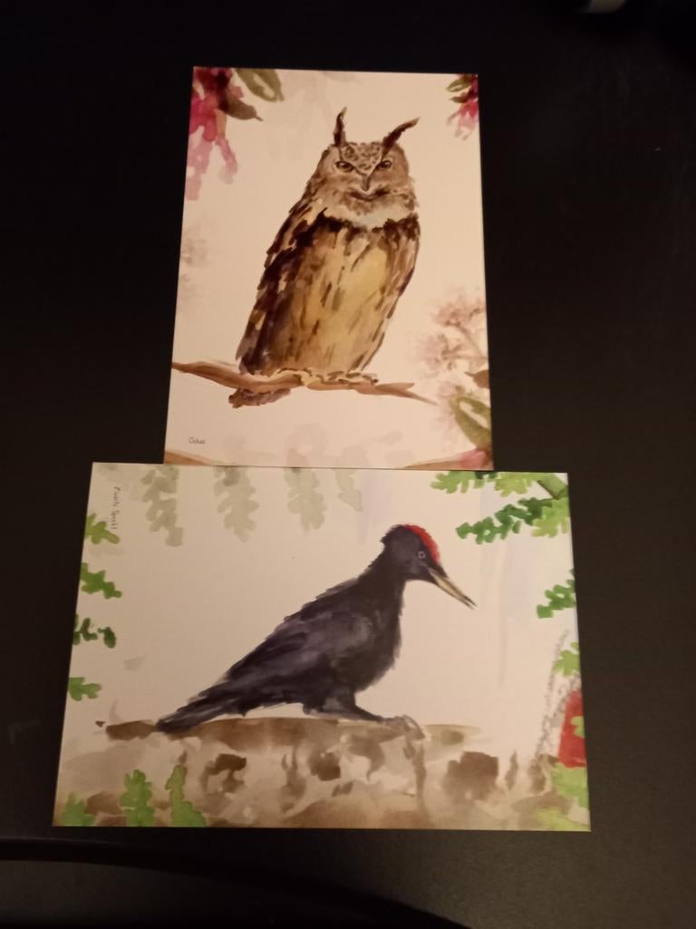 2 kaarten  vogels Oehoe en specht., Verzamelen, Verzenden, 1980 tot heden, Ongelopen, Vogel
