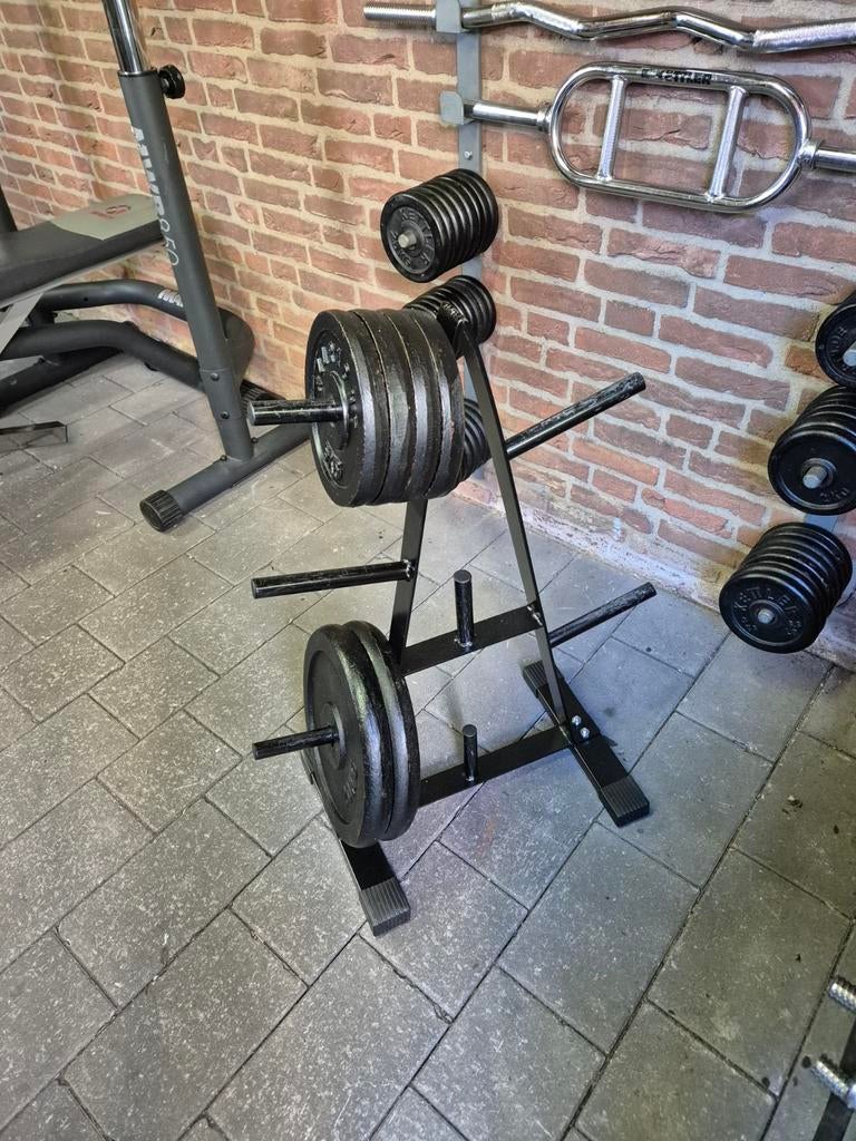 Halterschijven 60 kg met opbergrek, Sport en Fitness, Ophalen, Gebruikt, Rug, Halterschijven