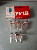 Philips PF1B Photoflux Flitslampen - Nieuw in Doos, Ophalen of Verzenden, Nieuw