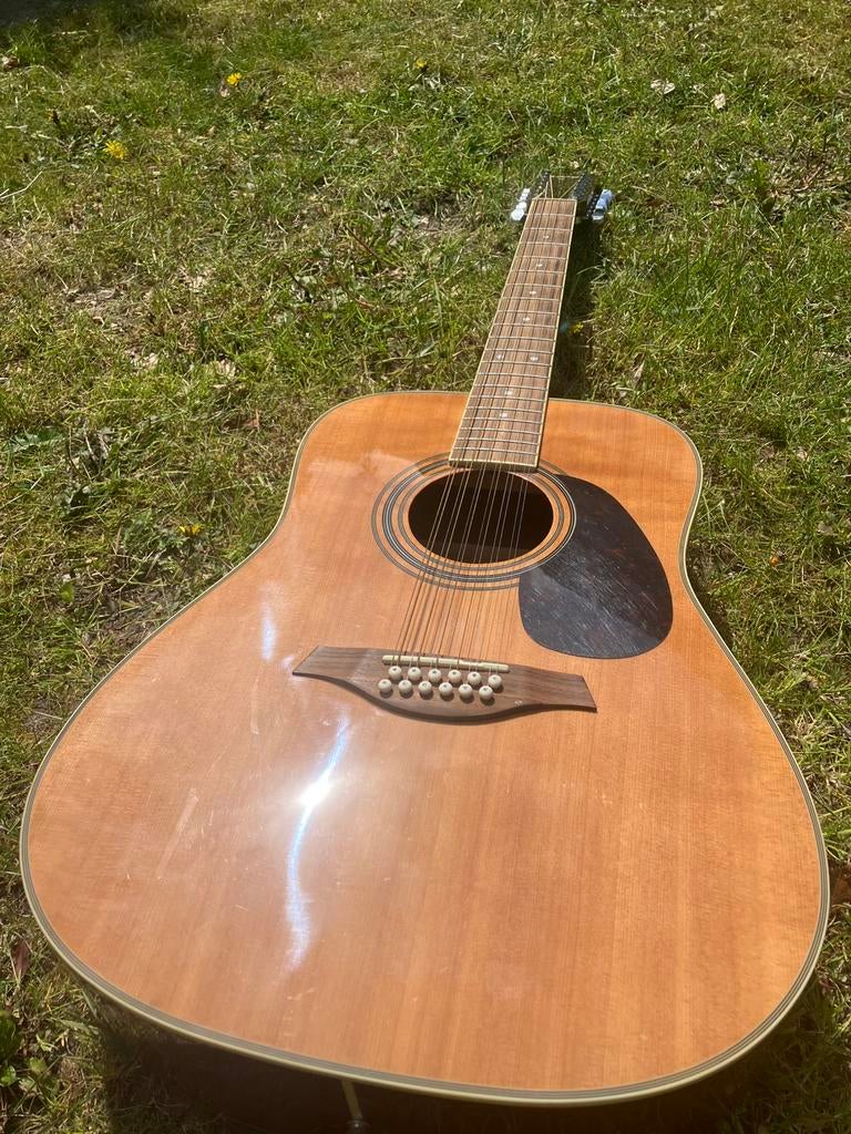 Vintage V400-12 12 snarige akoestische gitaar, Ophalen, Zo goed als nieuw, Western- of Steelstringgitaar