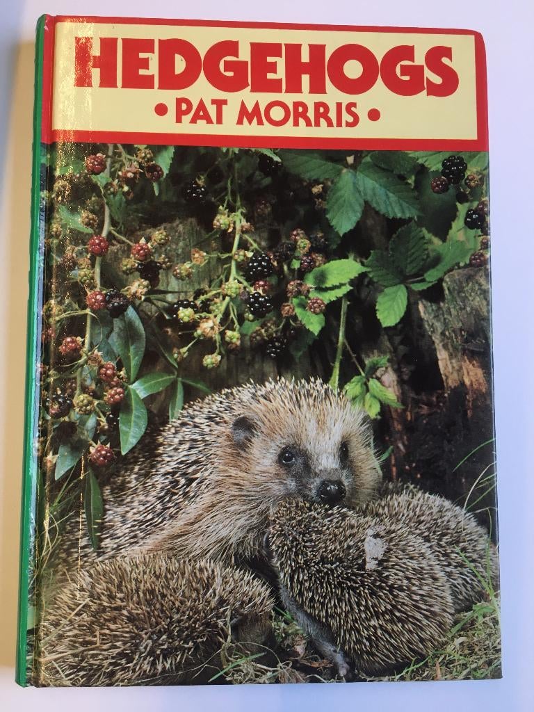 Hedgehogs, Ophalen of Verzenden, Nieuw, Natuur algemeen