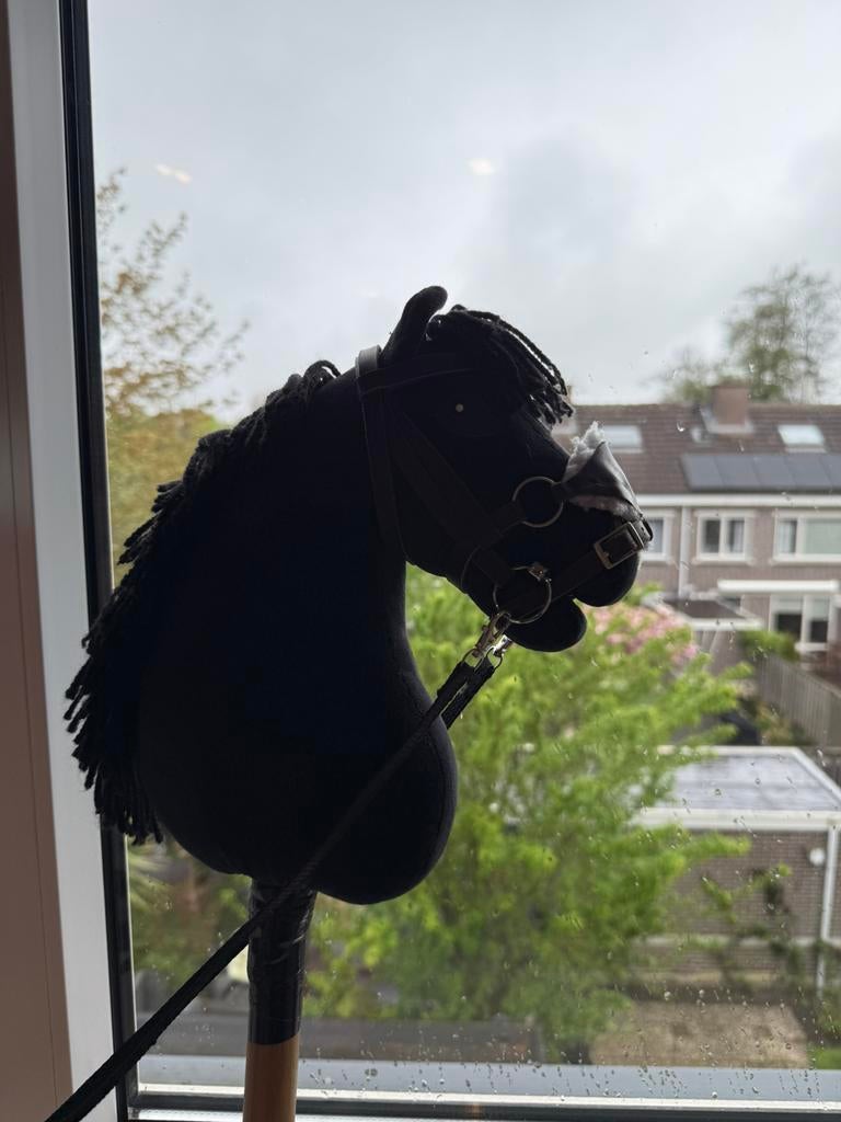 Zwarte Hobbyhorse, Ophalen of Verzenden, Zo goed als nieuw