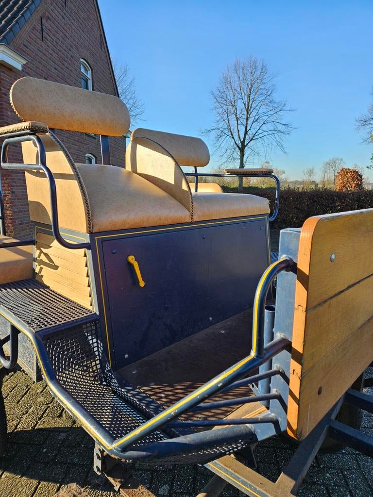 Paardenkar kan nog jaren mee, Dieren en Toebehoren, Rijtuigen en Koetsen, Gebruikt, Wagonette, Paard of Pony