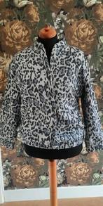 jas bomberjack baseballjack 46 panterprint grijs zwart, Rainbow, Zwart, Maat 46/48 (XL) of groter, Nieuw