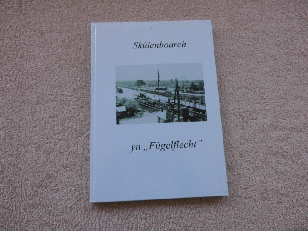 Skûlenboarch yn Fûgelflecht Troch Jan Krol., Ophalen of Verzenden, Gelezen, Jan Krol.