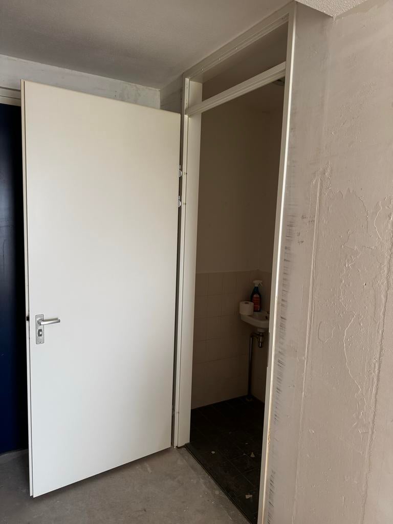 7 nette deuren met kozijnen en bovenlicht, incl. brandwerend, Ophalen, Gebruikt, 80 tot 100 cm, 215 cm of meer