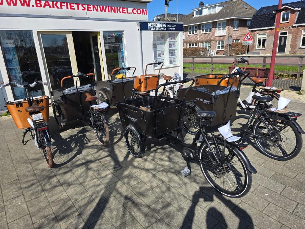 De Vogue Dutch Design:De grootste Winter sale van het jaar, Fietsen en Brommers, Fietsen | Bakfietsen, Overige merken, 4 kinderen of meer