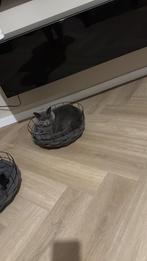 Goed huisje gezocht voor deze lieve dame, Poes