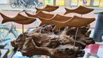 Uniek drijfhout kunstwerk met zwemmende vissen, Ophalen of Verzenden