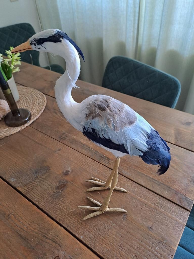 Mooie vogel van papier mache..goede staat..zie ook mijn and, Ophalen, Zo goed als nieuw
