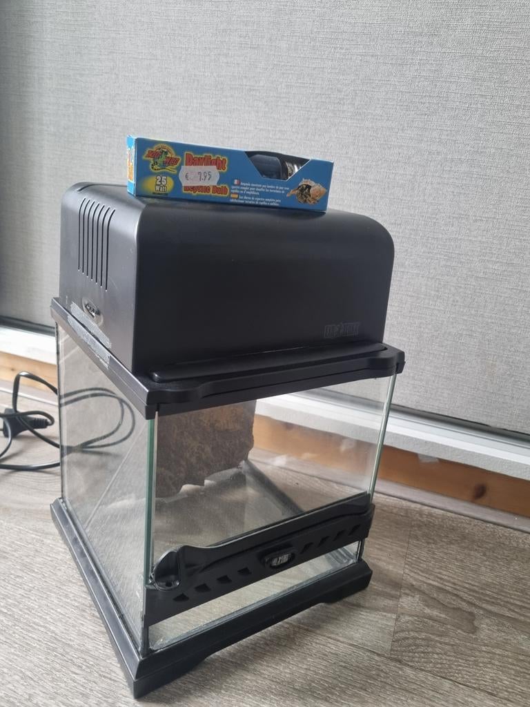 Exo Terra mini terrarium met verlichting 20x20, Ophalen of Verzenden