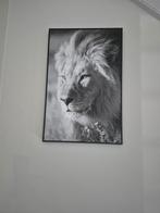 Canvas Schilderij Leeuw Zwart Wit 37x57, Ophalen of Verzenden