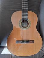 Gitaar Salvador Cortez CC10 incl hoes, snaren, stemapparaat,, Ophalen, Zo goed als nieuw, Klassieke of Spaanse gitaar