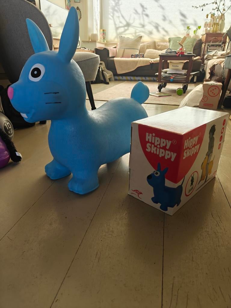 Hippy Skippy Konijn Bouncer voor Peuters en Dreumesen, Ophalen, Zo goed als nieuw, Overige typen