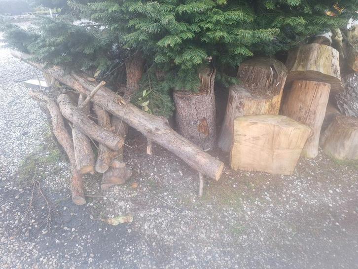 Brandhout - Diverse houtsoorten, Tuin en Terras, Haardhout, Overige houtsoorten, Minder dan 3 m³, Ophalen