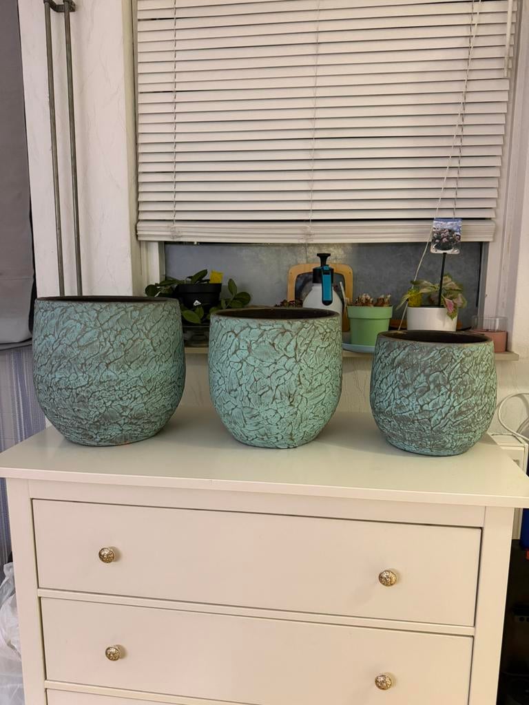 Bloempotten voor binnen, Tuin en Terras, Bloempotten, Ophalen, Rond, Binnen, Zo goed als nieuw