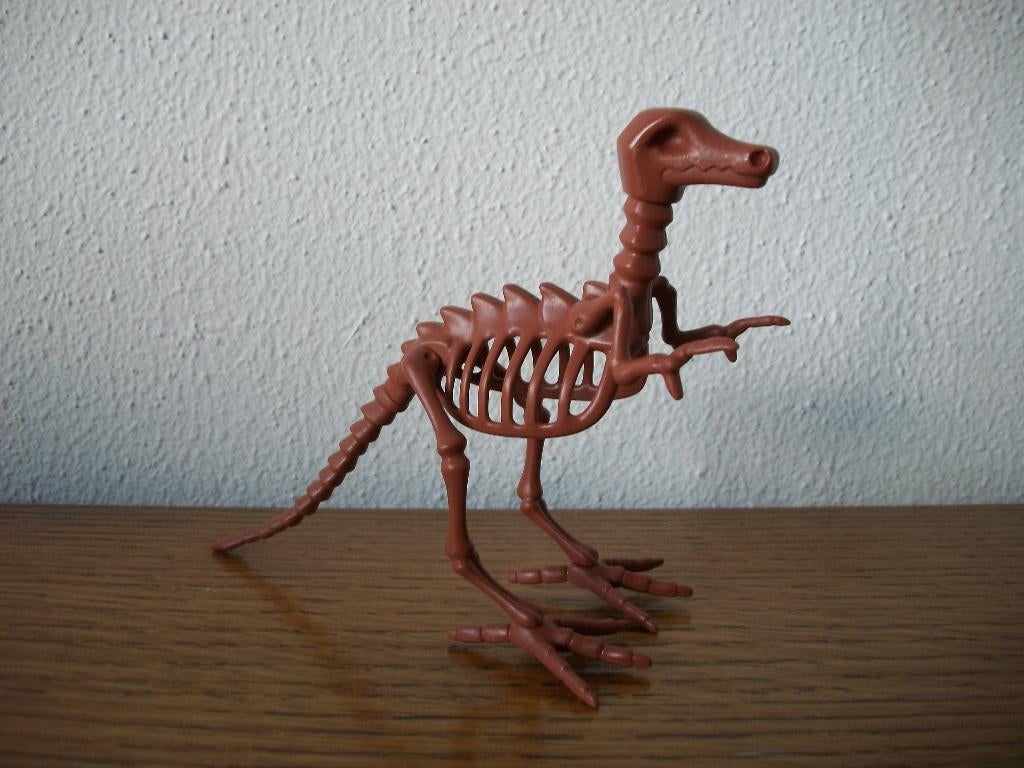 Skelet dinosaurus, Ophalen of Verzenden, Nieuw, Complete set