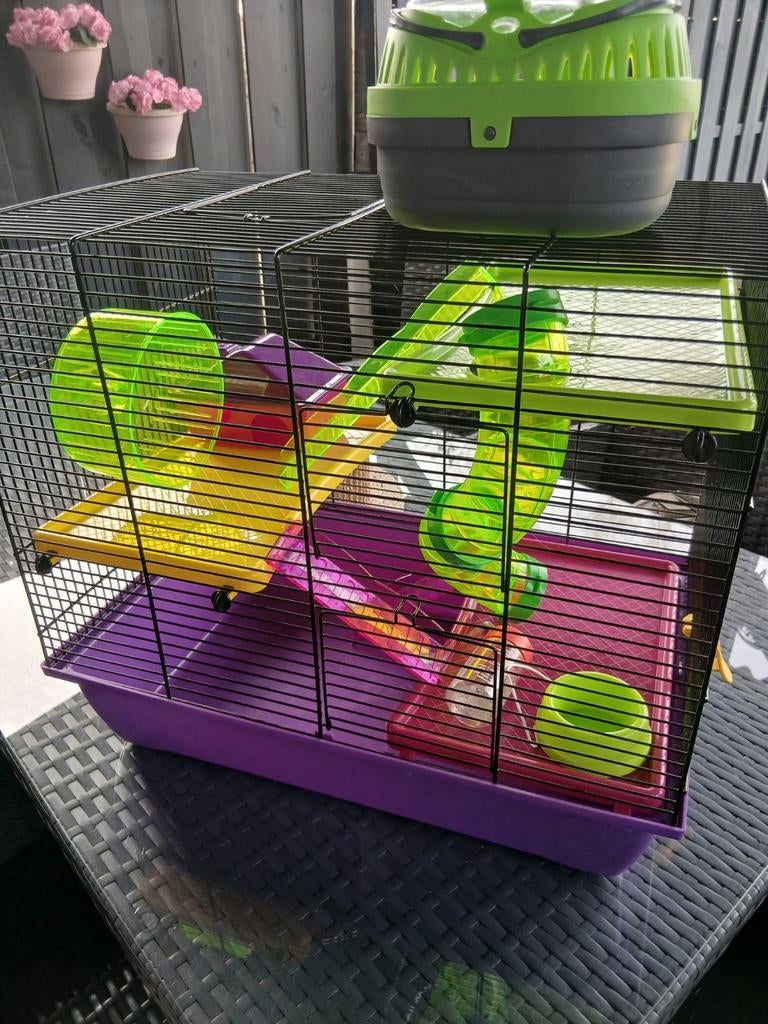 Hamsterkooi, Dieren en Toebehoren, Ophalen of Verzenden