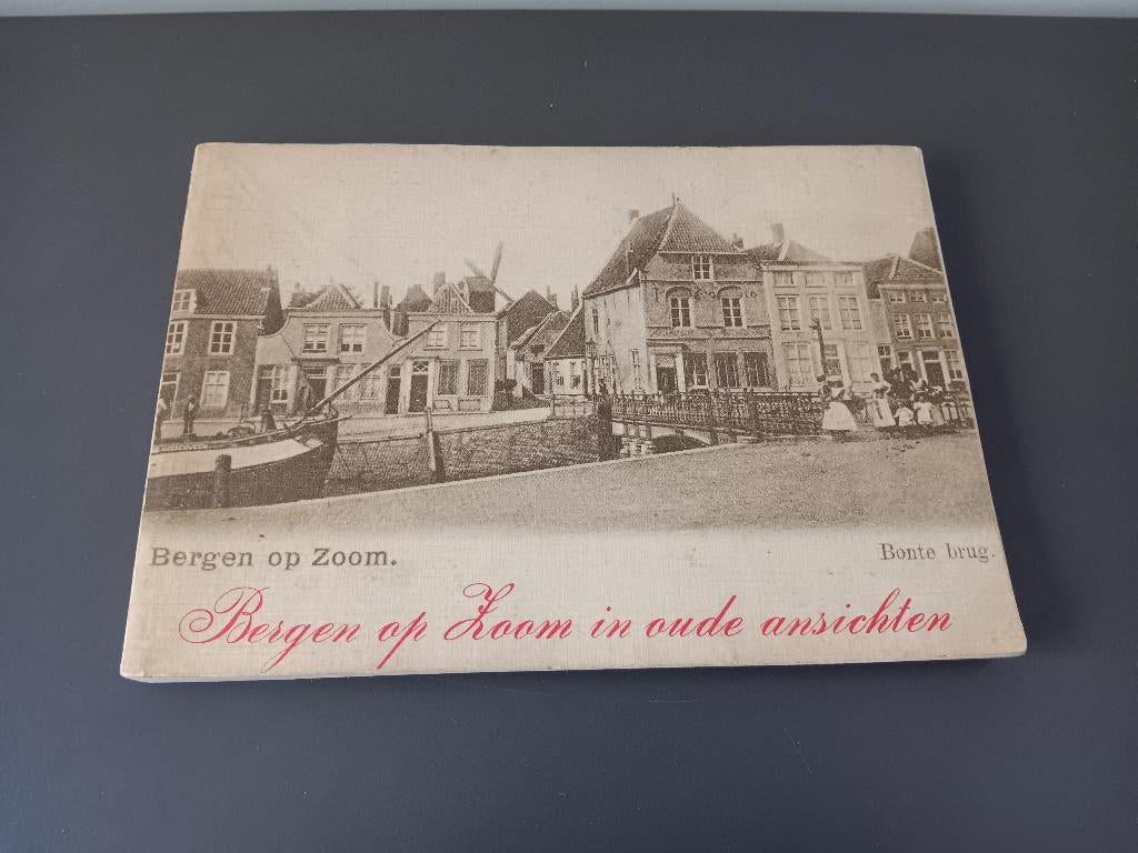 Bergen op Zoom in oude ansichten, Boeken, Geschiedenis | Stad en Regio, Ophalen of Verzenden, Gelezen