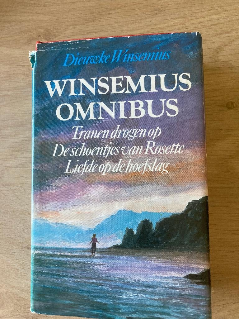 Boek Dieuwke Winsemius, Boeken, Ophalen of Verzenden, Gelezen