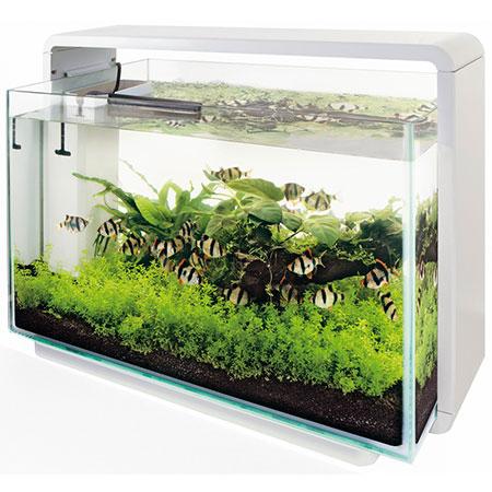 Superfish home 60 aquarium. Compleet met vis en meubel., Ophalen of Verzenden, Zo goed als nieuw, Gevuld zoetwateraquarium