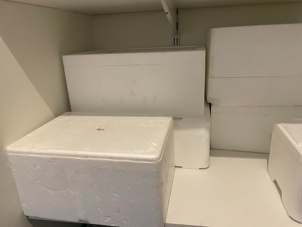 EPS isolatieboxen / piepschuim dozen, Ophalen, Gebruikt, Plant(en), Steen of Hout