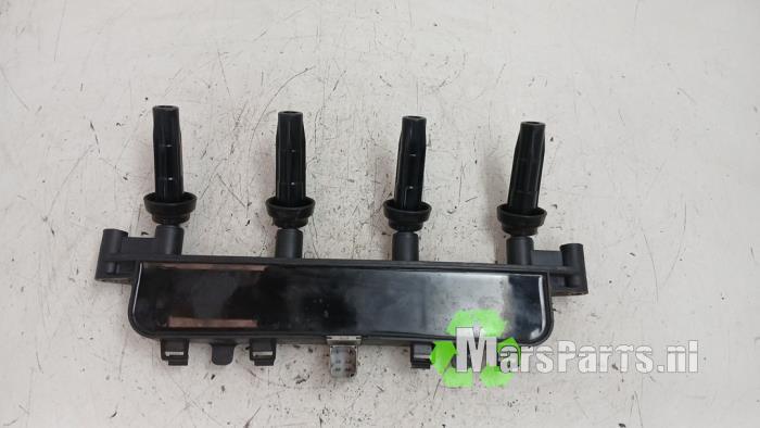 Bobine van een Peugeot 206, Gebruikt, -, -, Ophalen of Verzenden