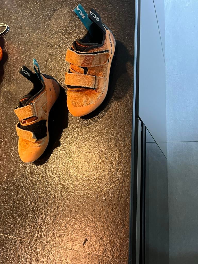 Scarpa Klimschoenen Maat 37 - Indoor Touwklimmen & Boulderen, Sport en Fitness, Klimsport, Ophalen, Gebruikt, Klimsportschoenen