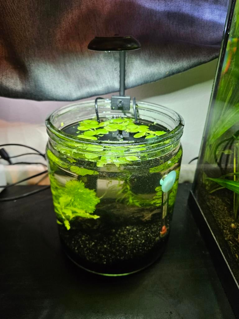 Kant en klaar nano aquariumpje, plug&play, Ophalen, Zo goed als nieuw, Leeg aquarium