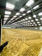 pensionstalling aangeboden, Dieren en Toebehoren, Stalling en Weidegang, Stalling, 4 paarden of pony's of meer