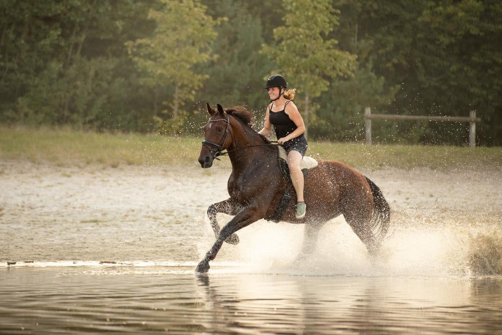 Super brave 12 jarige allrounder, Lord Leatherdale x Negro, Dieren en Toebehoren, Paarden, 175 cm of meer, Ruin, Dressuurpaard
