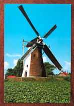 Colijnsplaat Molen / Korenmolen "De Oude Molen", Ophalen of Verzenden, Voor 1920, Noord-Brabant