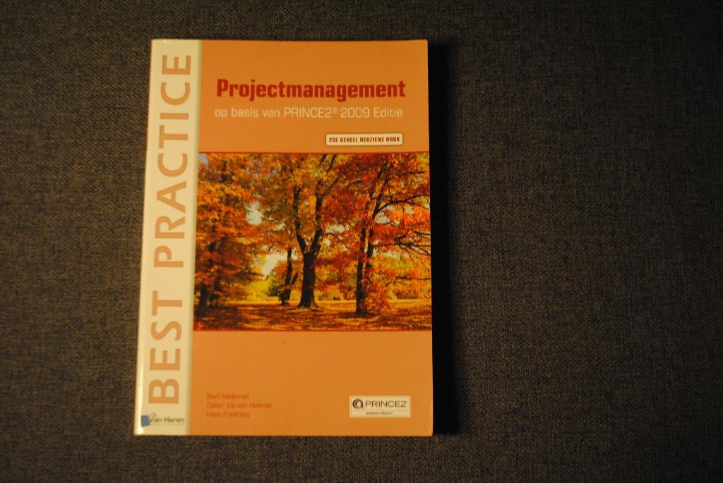 Prince2 Projectmanagement, Boeken, Ophalen of Verzenden, Beta, Gelezen, MBO